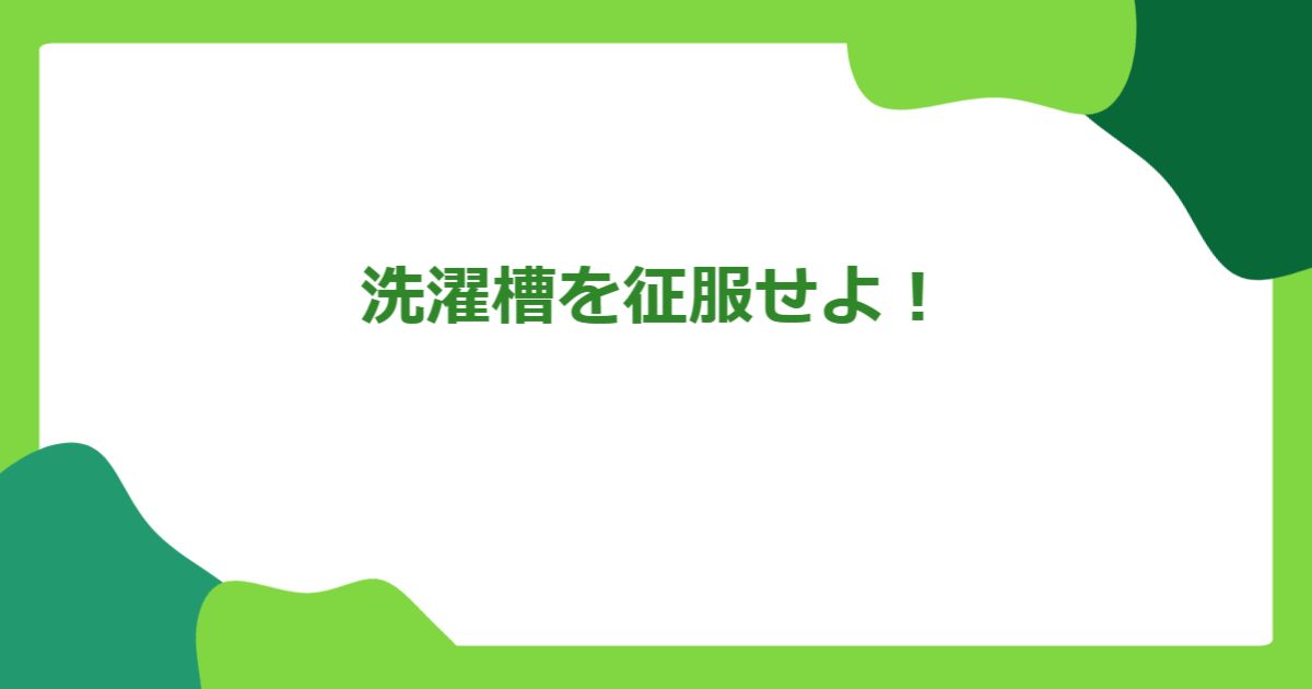 洗濯槽を征服せよ!