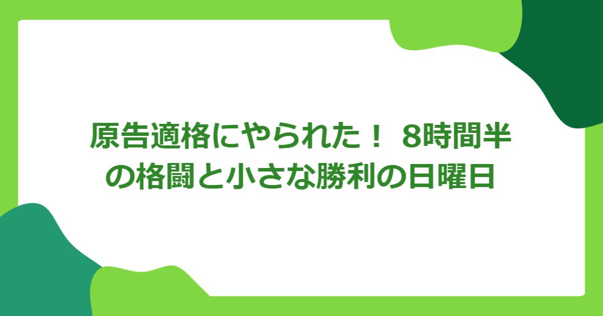 原告適格にやられた! 8時間半の格闘と小さな勝利の日曜日