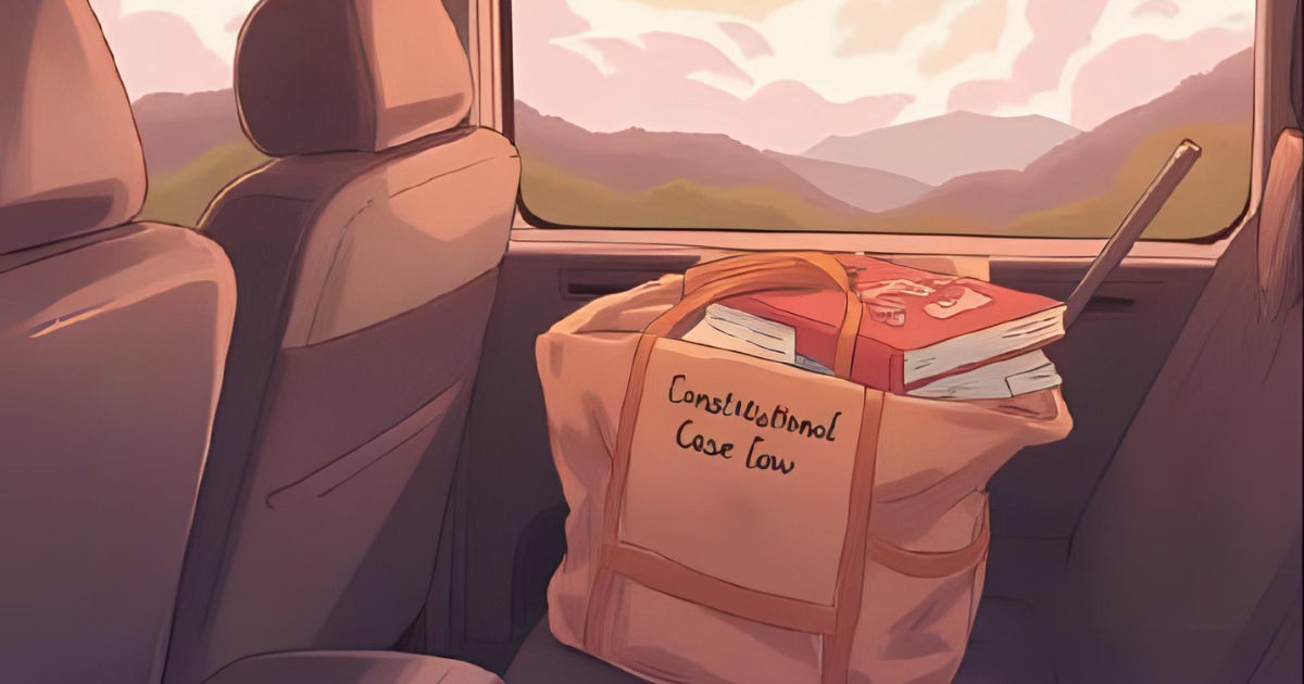 憲法判例に没頭！ 豊村先生の爆笑解説とあざらし先生